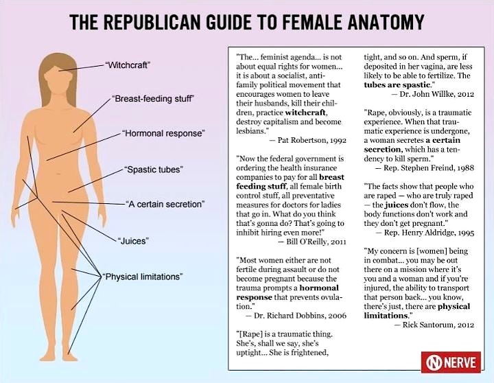 Diagram Of Womans Anatomy